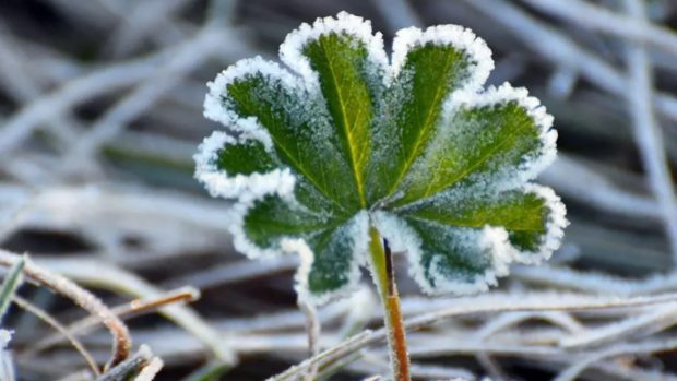 Cum va fi vremea mâine. Prognoza meteo pentru joi, 13 februarie 2025