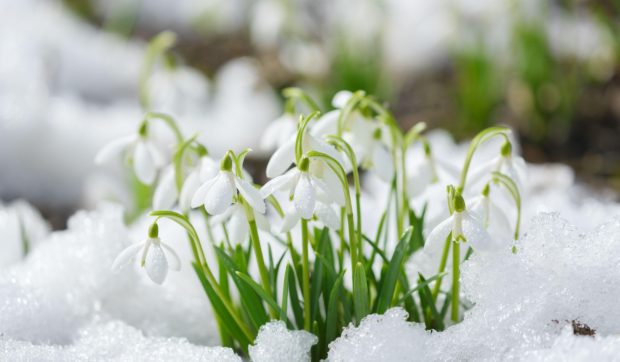 Cum va fi vremea mâine. Prognoza meteo pentru sâmbătă, 1 martie 2025