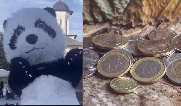 Un român îmbrăcat în panda a numărat câți bani a câștigat pe stradă, la Florența: „Practic, cu copiii și cu părinții. Poliția te lasă în pace”