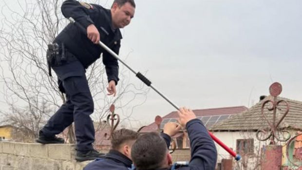 Blocat în casă de propriul câine, un bărbat din Mehedinți a sunat la 112 să fie salvat