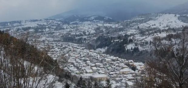Un bărbat pe ATV și înarmat cu o armă de vânătoare amenință că împușcă câinii, în Maramureș