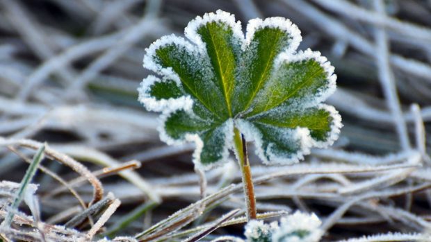 Cum va fi vremea mâine. Prognoza meteo pentru joi, 6 februarie 2025