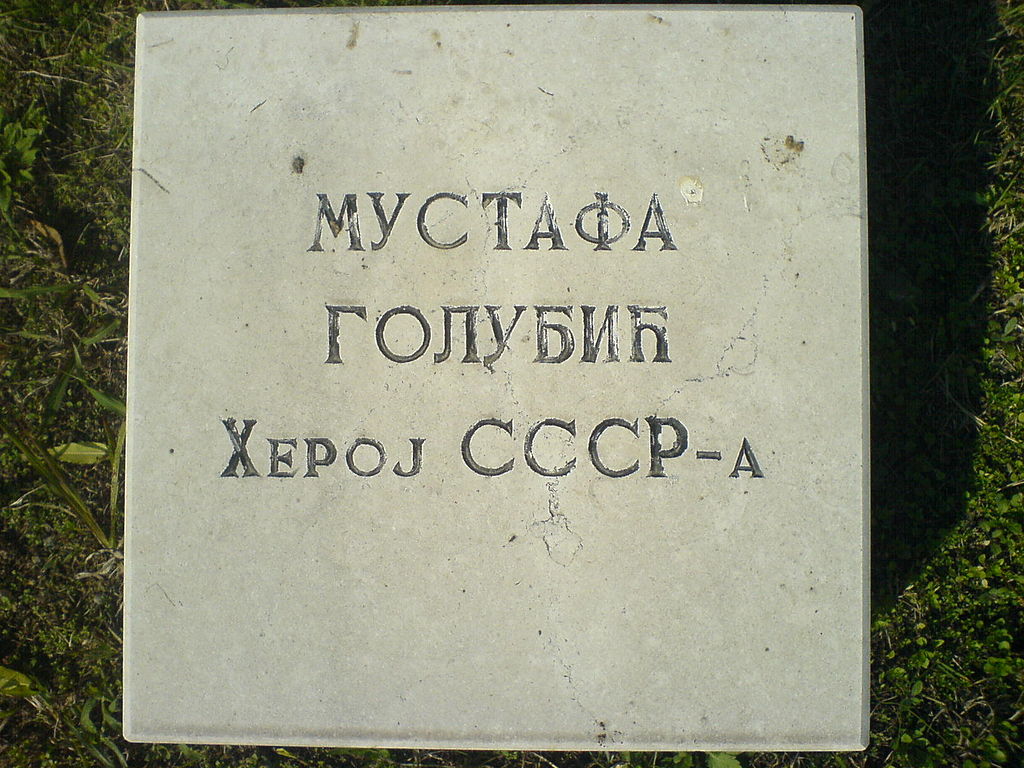 plocamustafegolubica