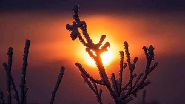 Cum va fi vremea mâine. Prognoza meteo pentru duminică, 2 februarie 2025