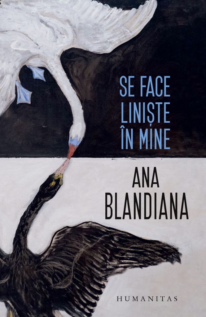 se face liniste in mine