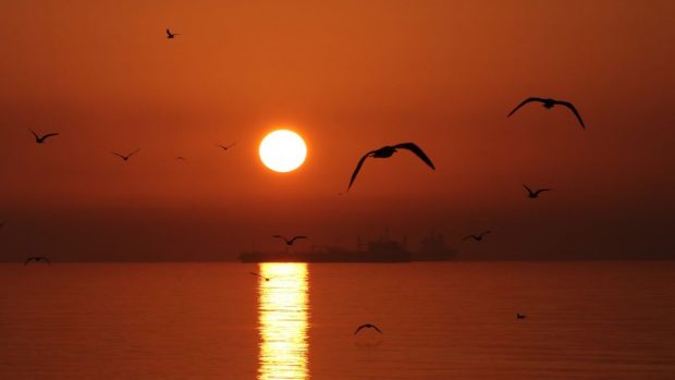 Ianuarie 2025, o lună record pe glob. Cel mai cald început de an înregistrat vreodată