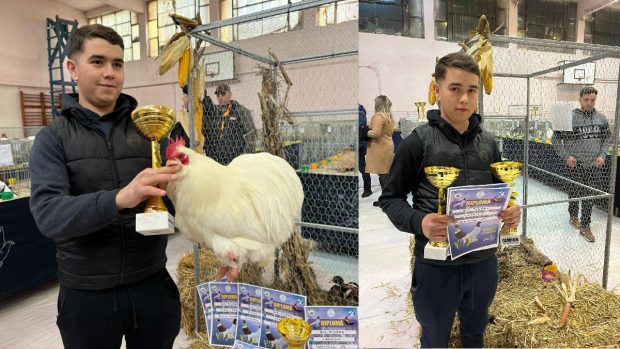 Un elev de 16 ani din Bistrița, care crește sute de păsări de rasă, a câștigat 11 titluri de campion