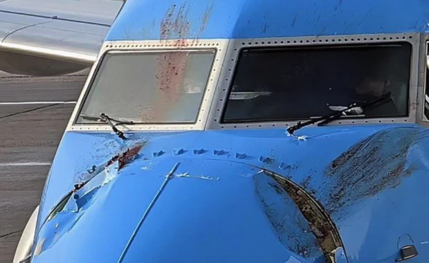 Un Boeing 737 a aterizat de urgență pe aeroportul Gatwick din Londra după ce a lovit două lebede