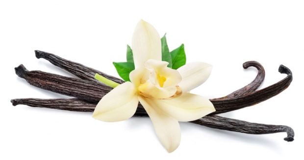 Vanilie – tot ce trebuie să ştii despre această plantă