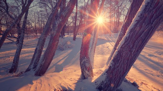 Cum va fi vremea mâine. Prognoza meteo pentru miercuri, 26 februarie 2025