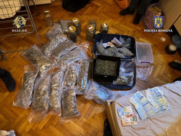 Peste 12 kilograme de canabis, capturate de la doi tineri din Timișoara