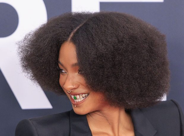 Fiica lui Will Smith, apariție controversată la Premiile Grammy. Willow, cu lenjeria la vedere pe covorul roșu