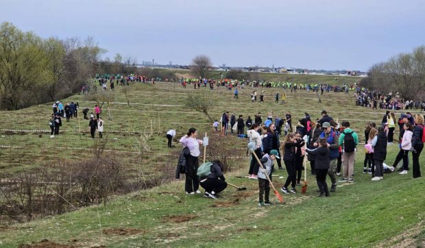Acțiune ecologică de amploare în Oradea. Peste 5.000 de voluntari au transformat malul Crișului Repede într-o pădure vie