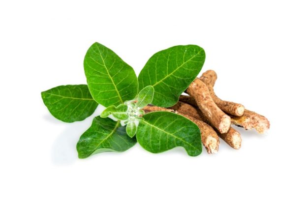 Ce este ashwagandha și ce beneficii are