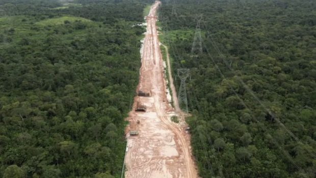 Ironia supremă: Brazilia defrișează Amazonul pentru un drum către summitul climatic
