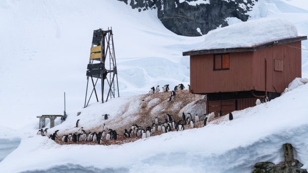 Cercetători izolați în Antarctica cer ajutor: „Un coleg a amenințat că va ucide pe cineva”