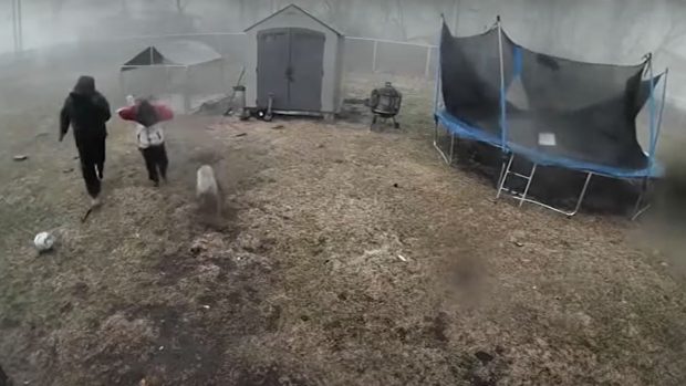 Momentul în care un câine e salvat chiar înainte ca o tornadă de 180 km/oră să îi lovească adăpostul | VIDEO