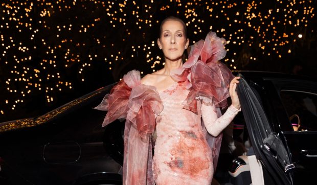 Cum arată gemenii lui Celine Dion la 14 ani. Motivul pentru care artista a montat butoane de panică în casă
