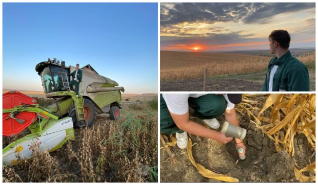 De la filologie la agricultură: Povestea unui tânăr din Movileni, Iași, care la 22 de ani administrează o fermă