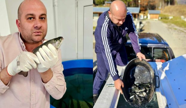 Păstrăvul-curcubeu crește de 4 ori mai repede în apă sărată. Proiectul revoluționar al cercetătorilor români