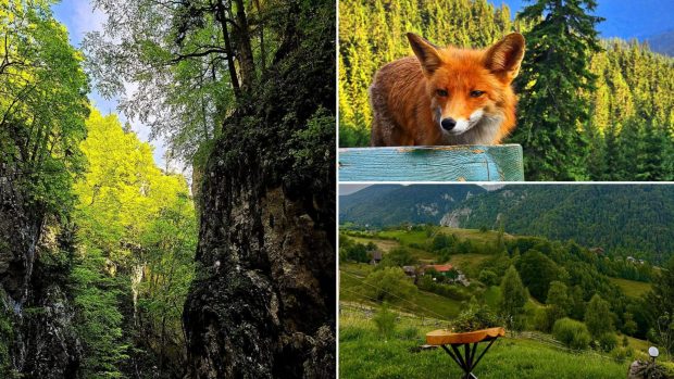 Zărnești, poarta către Munții Piatra Craiului. Sfaturi pentru turiștii care vor să se rupă de poluarea orașelor  