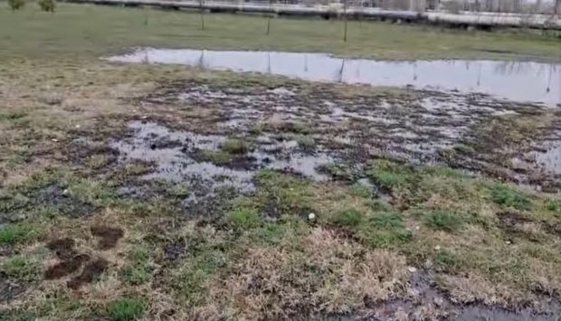 Poluare cu petrol în Parcul Municipal Ploiești. O conductă s-a spart și țițeiul a afectat o porțiune mare. Reacția primarului