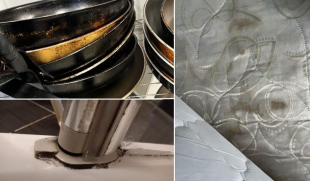 Amenzi de peste un milion de lei pe Valea Prahovei după controale ANPC: Inspectorii au găsit gândaci și mâncare expirată