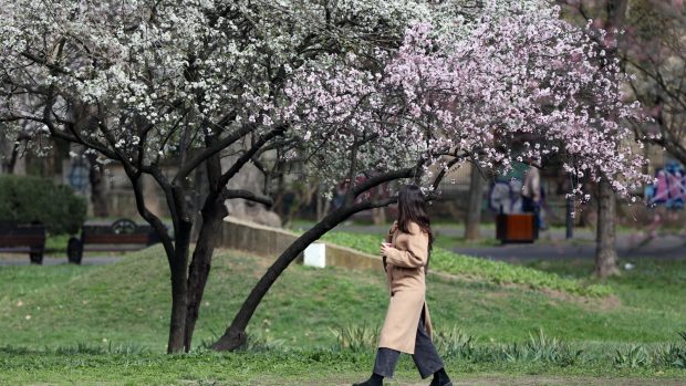 Cum va fi vremea în perioada 24 martie – 20 aprilie 2025. Prognoza meteo pentru următoarele patru săptămâni