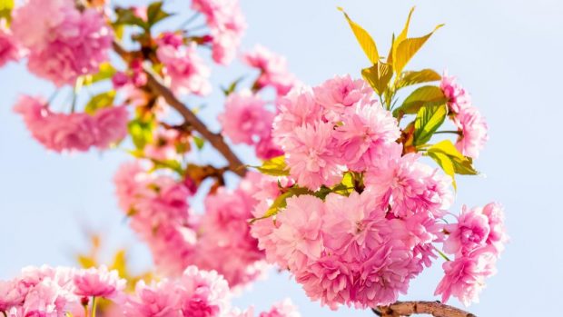 Cum va fi vremea în următoarele patru săptămâni. Prognoza meteo pentru perioada 17 martie – 13 aprilie 2025