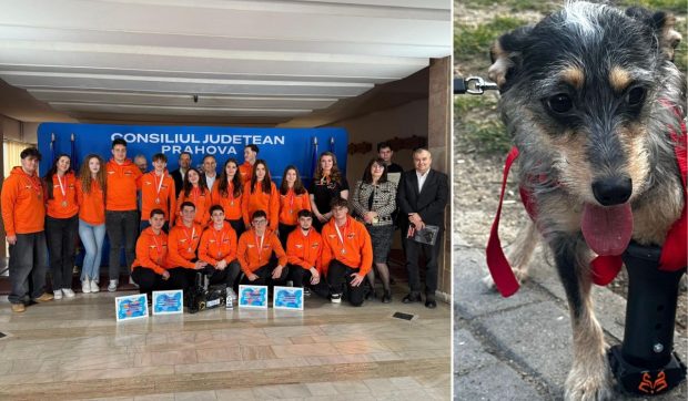Echipa de robotică a unui liceu din Ploiești, care s-a calificat la Campionatul Mondial de Robotică, creează orteze pentru animale 