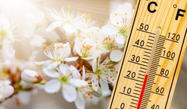 Cum va fi vremea în perioada 24 martie – 20 aprilie 2025. Prognoza meteo pentru următoarele patru săptămâni