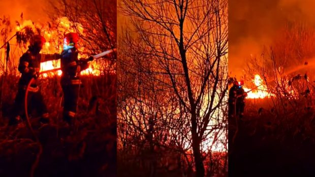Rezervația naturală „Delta din Carpați”, Brașov, distrusă de incendii: „Este o mână criminală”