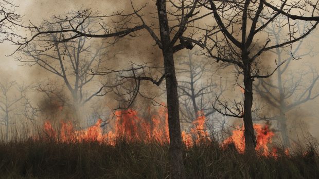 Filmare unică dintr-un avion Spartan al Armatei Române care aruncă 5.000 de litri de apă peste incendiile de vegetație din judeţele Caraş-Severin şi Hunedoara