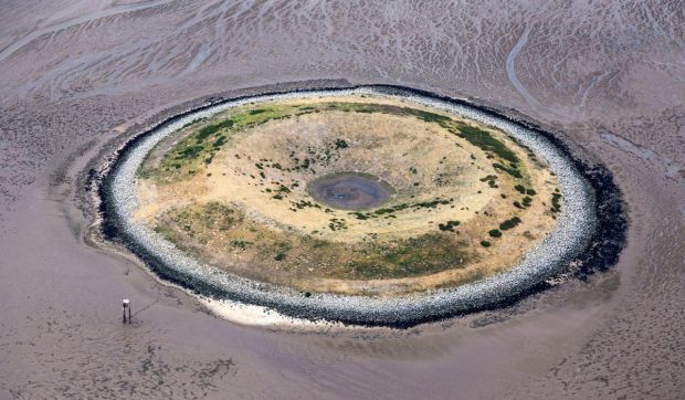 Insula artificială construită în anii ’70 de britanici, devenită un paradis al păsărilor | VIDEO