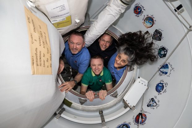 Cei doi astronauţi americani, blocaţi timp de nouă luni în spațiu, au revenit pe Pământ, unde au fost întâmpinați de delfini I VIDEO