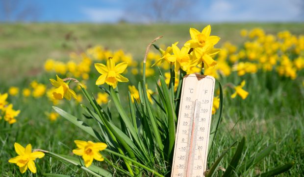 Cum va fi vremea în următoarele patru săptămâni. Prognoza meteo pentru perioada 10 martie – 6 aprilie 2025