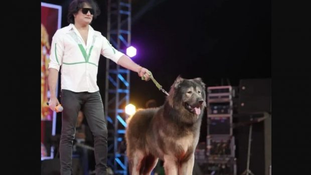 Un câine a fost vândut cu 5,7 milioane de dolari: „Rasă unică. Cel mai scump din lume”