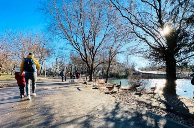 Descoperire îngrijorătoare în Parcul Tineretului din București: „Nu duceți copiii acolo!”