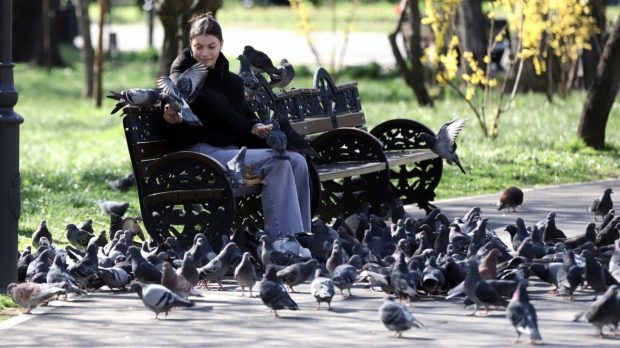 Cum va fi vremea în perioada 24 martie – 6 aprilie 2025. Diferențe mari de temperatură și ploi, în aproape toată țara