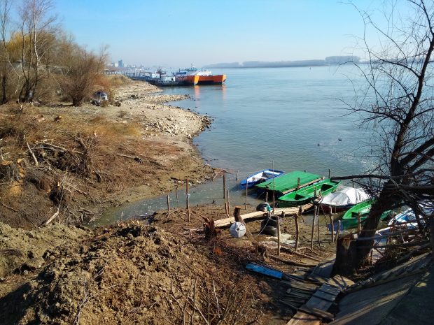 Defrișări pe malul Dunării, la Galați. Care este construcția pentru care Primăria va tăia sute de copaci
