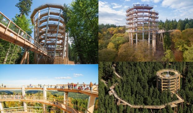 Brașov ar putea deveni primul oraș din România cu „poteca în vârful arborilor”