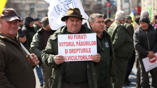 Silvicultorii protestează la București față de tăierea salariilor și amenință cu greva generală