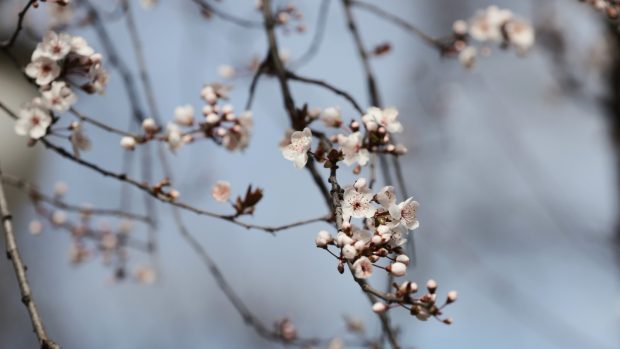 Cum va fi vremea mâine. Prognoza meteo pentru duminică, 23 martie 2025
