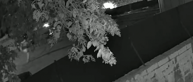 Video cu momentul în care un român e împușcat din spate și ucis, în Italia: „A pozat în justițiar, nu era autoapărare”