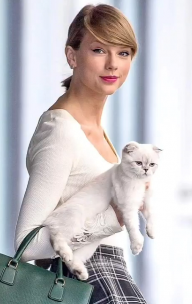 Taylor Swift surprinsă în timp ce-și ține pisica, Olivia Benson, într-o mână