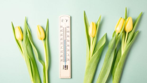 Cum va fi vremea mâine. Prognoza meteo pentru luni, 24 martie 2025