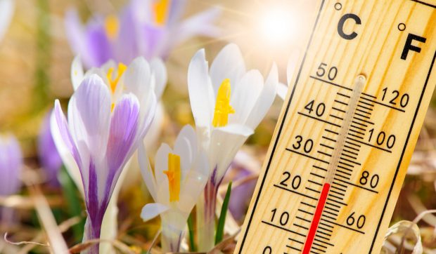 Cum va fi vremea mâine. Prognoza meteo pentru marți, 25 martie 2025