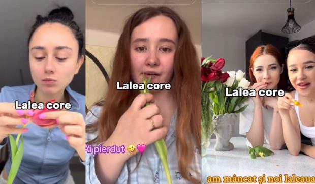 Tinere care mănâncă lalele, virale pe TikTok. Un medic român spune cât de periculoase sunt florile 
