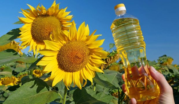 O nouă fabrică se deschide lângă Craiova. Va produce până la 10 tone de ulei vegetal și va oferi noi locuri de muncă