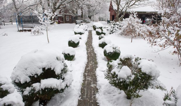 Cod galben de ninsori, ploi și vijelii. Stratul de zăpadă va ajunge până la 15 cm. Harta zonelor vizate de avertizările meteo ANM